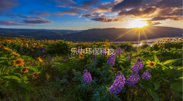 污水處理廠活性污泥法日常管理中，需要監(jiān)測與注意的參數(shù)-樂中環(huán)保