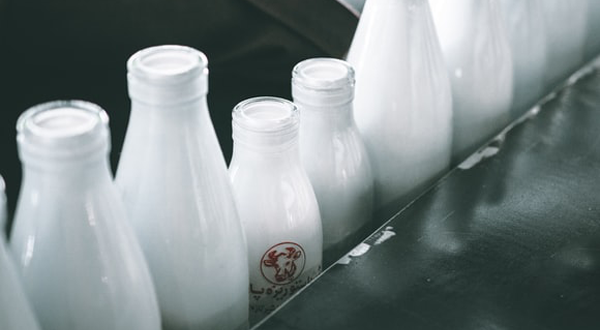 牛奶加工廢水-青島樂中環(huán)?？萍加邢薰? /> 
</p>
<p style=