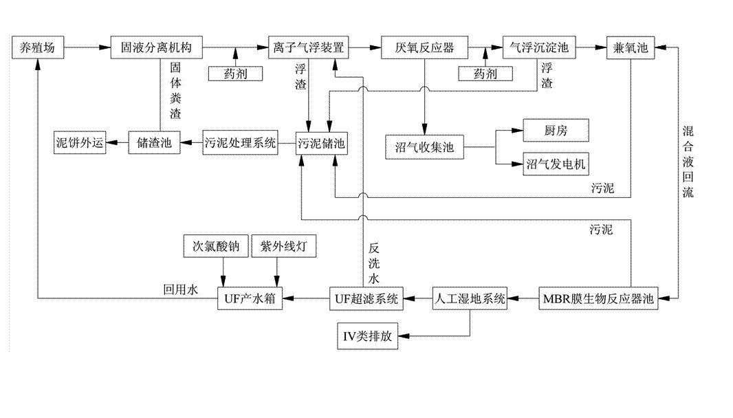 農(nóng)村養(yǎng)殖戶(hù)如何低成本有效處理污水，這兩種做法你應(yīng)該知道!02