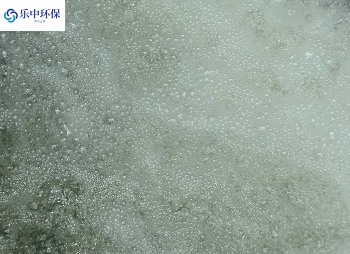 溶氣氣浮機(jī)泡沫多什么原因？如何解決？