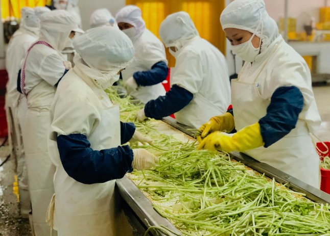 三種食品污水處理設(shè)備工藝流程，看看哪種適合您？